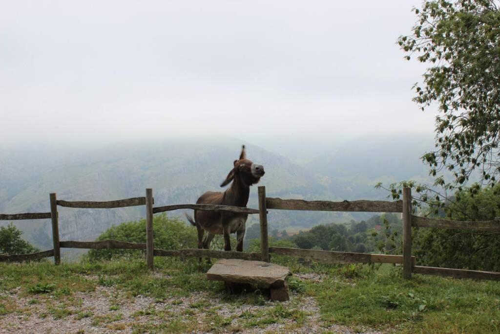 Los Pradones San Roque de Riomiera ภายนอก รูปภาพ