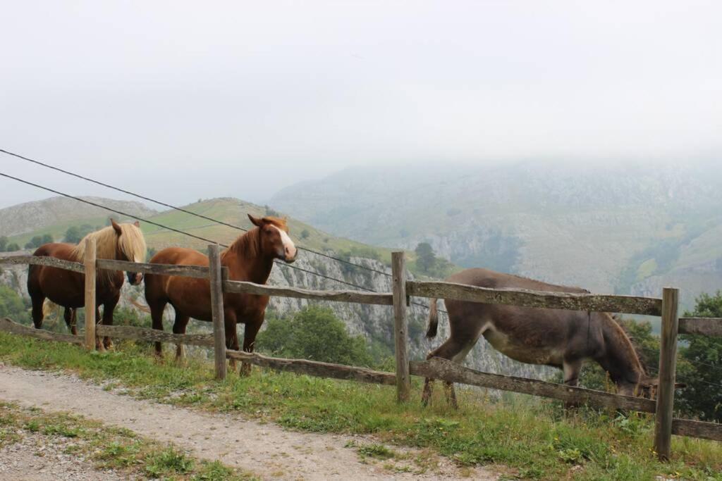 Los Pradones San Roque de Riomiera ภายนอก รูปภาพ